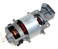 500590891 Motor 