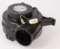 00145095 MOTOR 