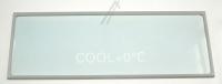 00438972 GLASPLATTE 