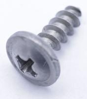 SELF WASHERED PT SCREW (4*12) 4242270100