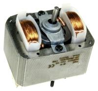507495 MOTOR 