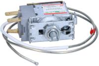 366510 THERMOSTAT 