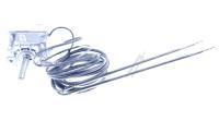 602068 Thermostat 