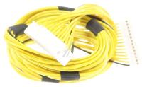 ZPJ522R2  KABEL NETZTEIL-CHASSIS 650MM 759551861500