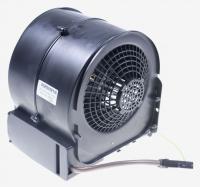 AFCAGR02491+T Motor 