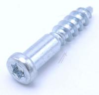 10003574 SCHRAUBE 
