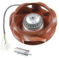 AFCMREBM Motor 