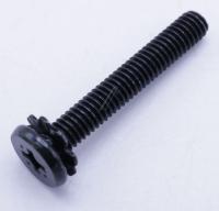 SCREW ASSEMBLY FAB30016123