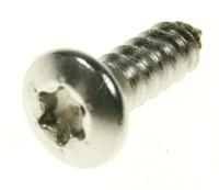 SCREW RTSX LOW HEAD A T 785608