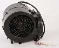 20005421 Motor 